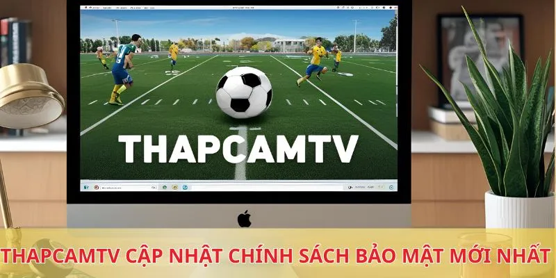 Thapcamtv cập nhật chính sách bảo mật mới nhất