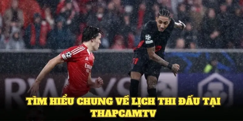 Tìm hiểu chung về lịch thi đấu thapcamtv