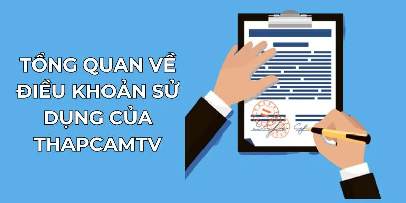 Tổng quan về điều khoản sử dụng của thapcamtv