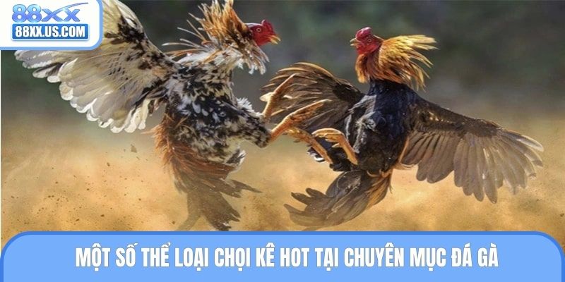 Một số thể loại chọi kê hot tại chuyên mục đá gà